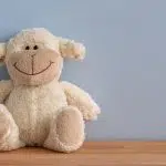 Quels sont les avantages et les limites liés à l'achat des jouets pour vos enfants ?
